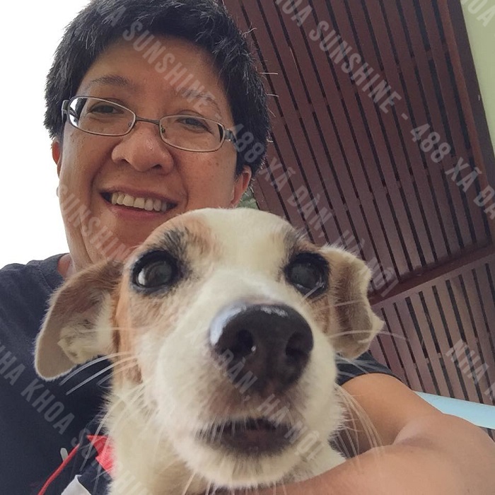 có nên trồng răng cấm không có nên trồng răng cấm không