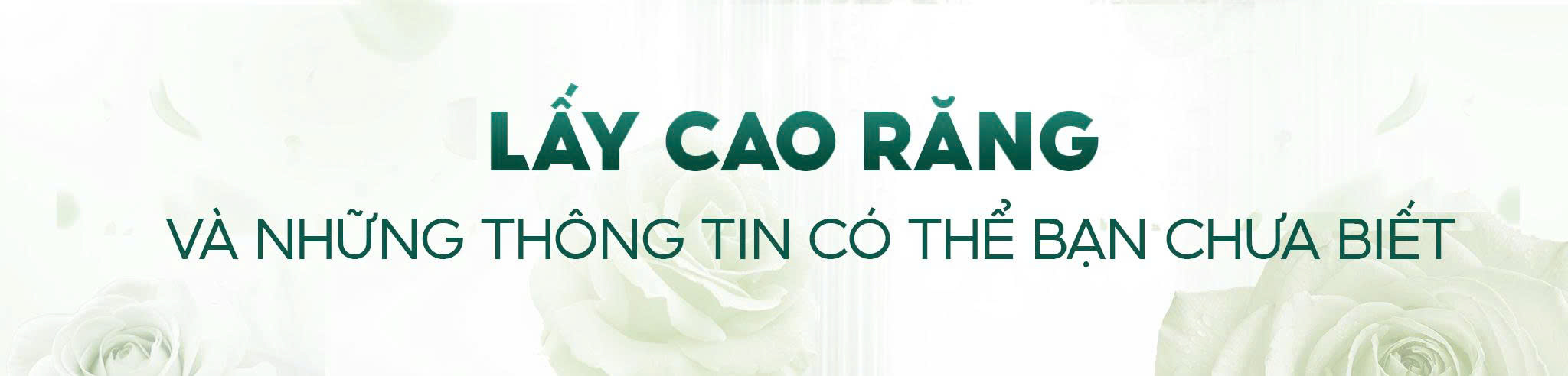 Lấy cao răng